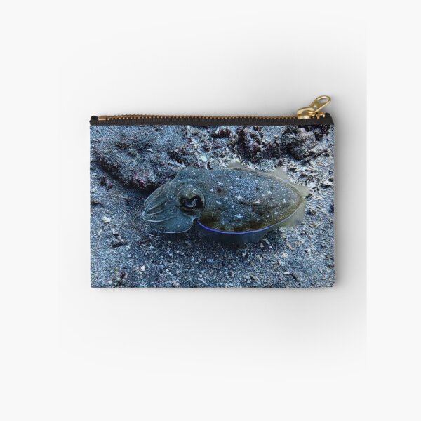 Item preview, Indonesian Cuttlefish designed and sold by Marine Wonders.