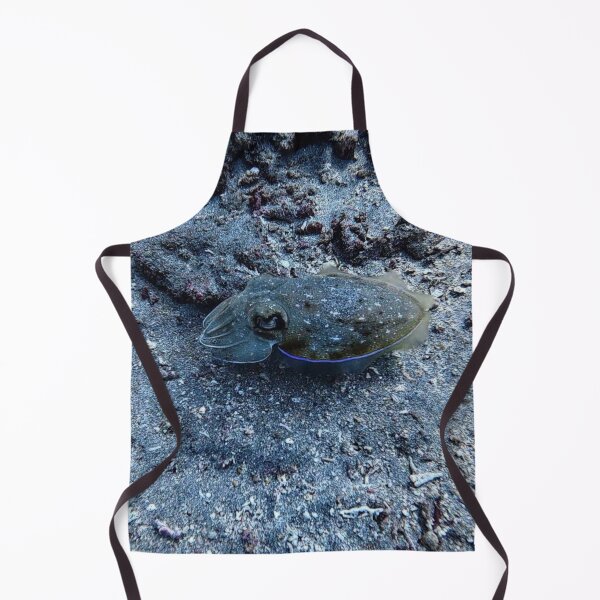 Item preview, Indonesian Cuttlefish designed and sold by Marine Wonders.