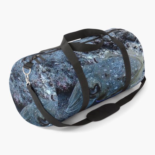 Item preview, Indonesian Cuttlefish designed and sold by Marine Wonders.