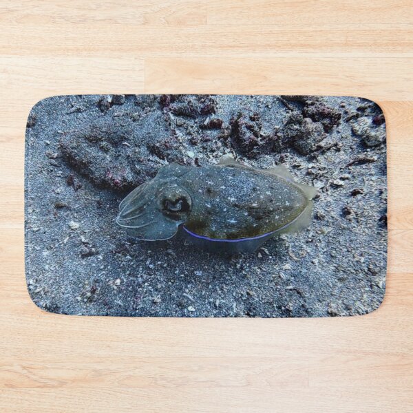 Item preview, Indonesian Cuttlefish designed and sold by Marine Wonders.