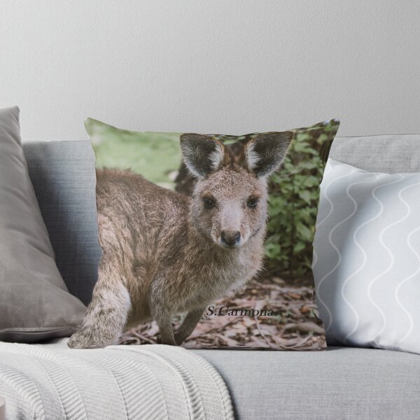 Item preview, Cute Australian Kangaroo Portrait Wildlife Fine Art designed and sold by AuraInkSC.