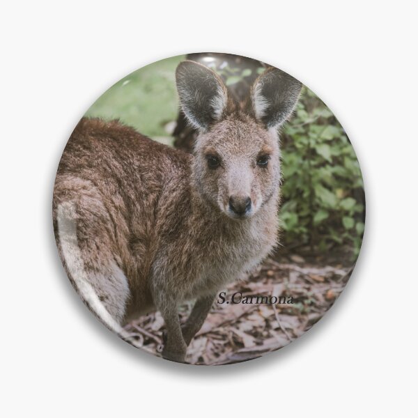 Item preview, Cute Australian Kangaroo Portrait Wildlife Fine Art designed and sold by AuraInkSC.