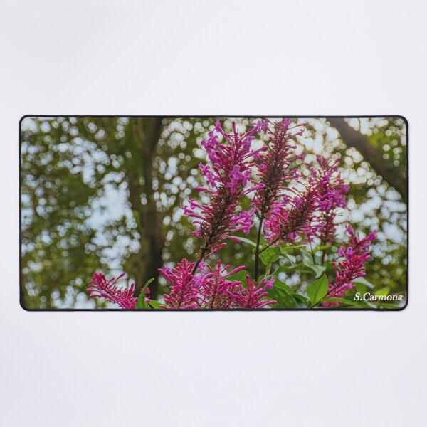 Item preview, Vibrant Magenta Wildflowers in Forest Light Art designed and sold by AuraInkSC.