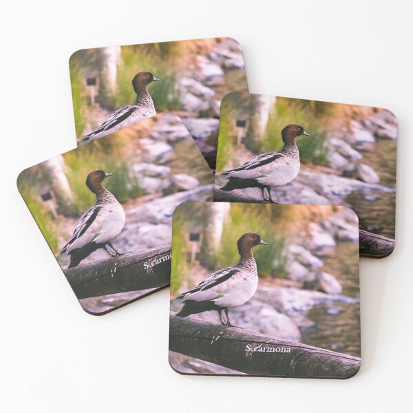Item preview, Peaceful Duck on Wooden Fence River Landscape Art - Queensland designed and sold by AuraInkSC.