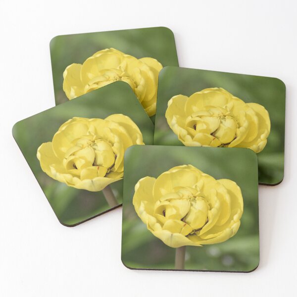 Item preview, Golden Tulip Macro Petal Close Up Photography designed and sold by TathataPhotos.