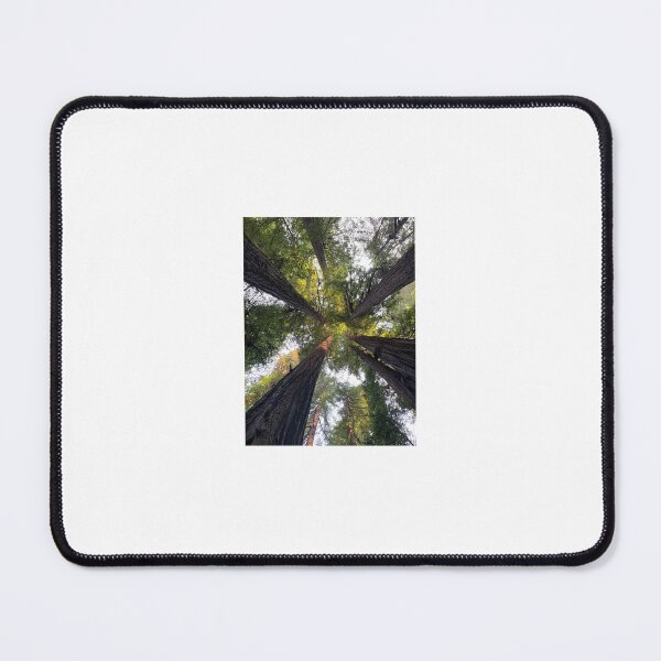 Item preview, Redwood Tree Canopy designed and sold by Tammy's Handmade Gifts.