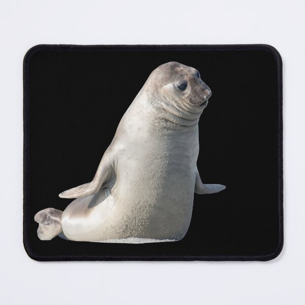Item preview, Ihupuku (Elephant Seal) ready to pounce designed and sold by GivernyKate.