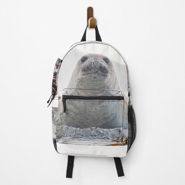 Item preview, Elephant seal blob designed and sold by GivernyKate.