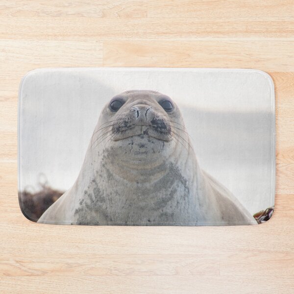 Item preview, Elephant seal blob designed and sold by GivernyKate.