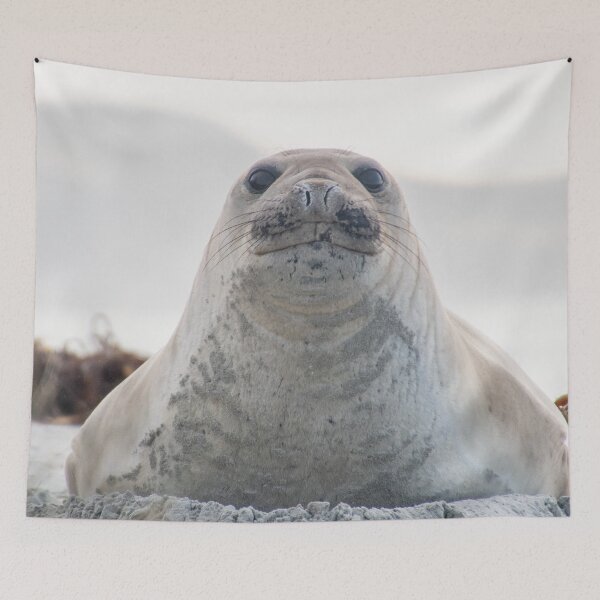 Item preview, Elephant seal blob designed and sold by GivernyKate.