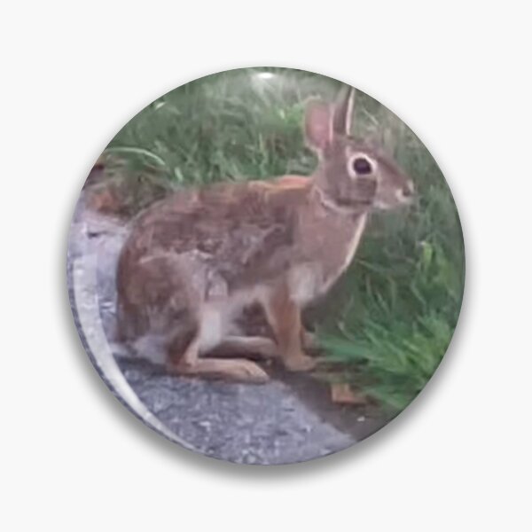 Item preview, Rabbit  designed and sold by Amanda1775.