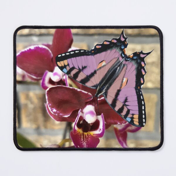 Item preview, Butterfly Orchid Flower designed and sold by cameoivory.