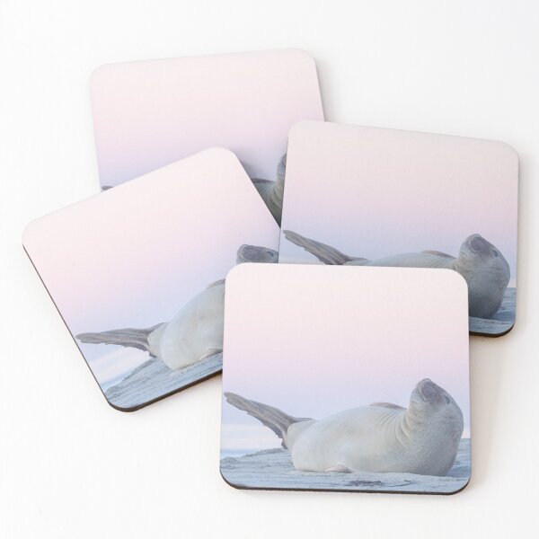 Item preview, Elephant seal at sunset designed and sold by GivernyKate.