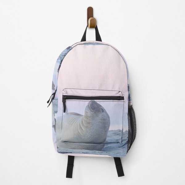 Item preview, Elephant seal at sunset designed and sold by GivernyKate.
