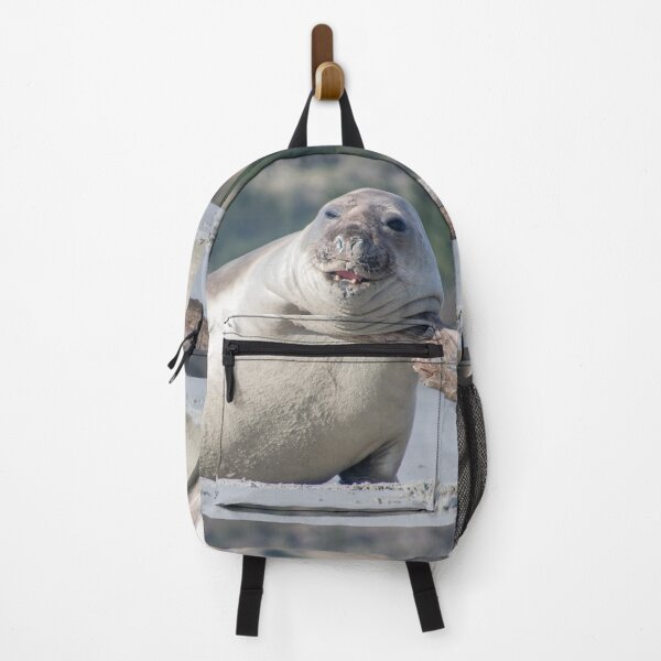 Item preview, Elephant seal funny pose designed and sold by GivernyKate.