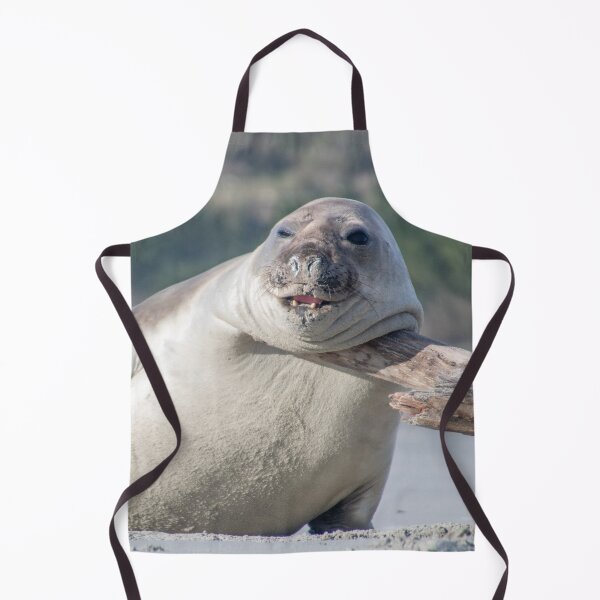 Item preview, Elephant seal funny pose designed and sold by GivernyKate.