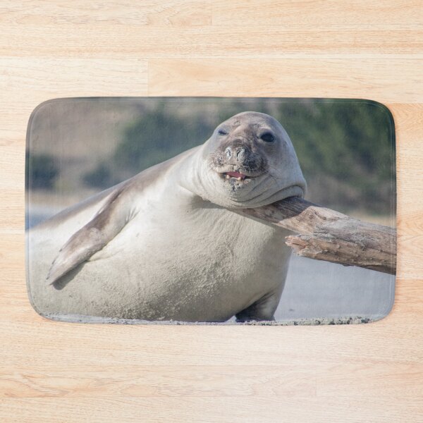 Item preview, Elephant seal funny pose designed and sold by GivernyKate.