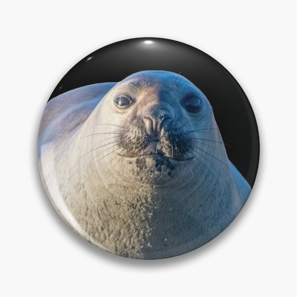 Item preview, Ihupuku (Elephant Seal) on the move designed and sold by GivernyKate.