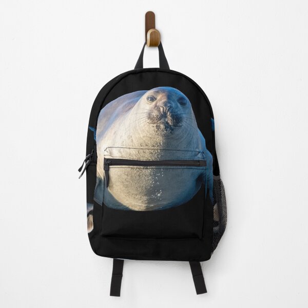 Item preview, Ihupuku (Elephant Seal) on the move designed and sold by GivernyKate.