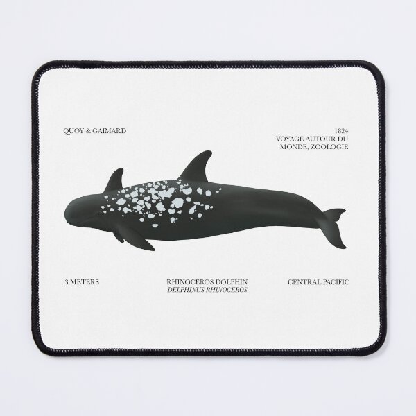 Item preview, Rhinoceros Dolphin designed and sold by BrochJam.