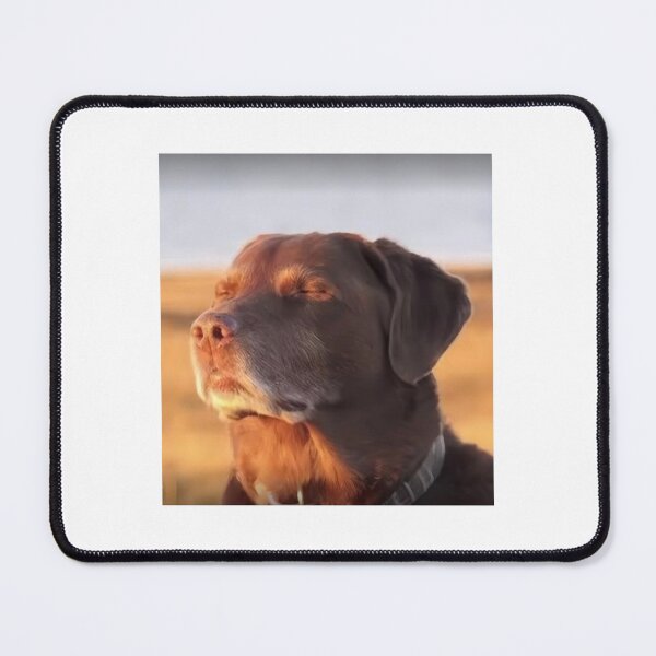 Item preview, Peaceful Dog designed and sold by BigGulpMattie.