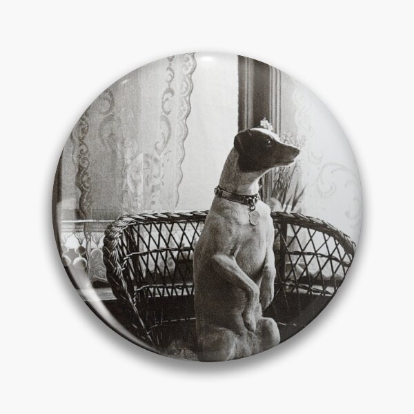 Item preview, Sitting Dog by Window Vintage Rijksmuseum Art Reproduction Postcard Restored designed and sold by markomundo.