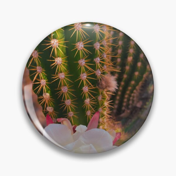 Artikelvorschau, Cactus Pop! entworfen und verkauft von Margaret McNally.