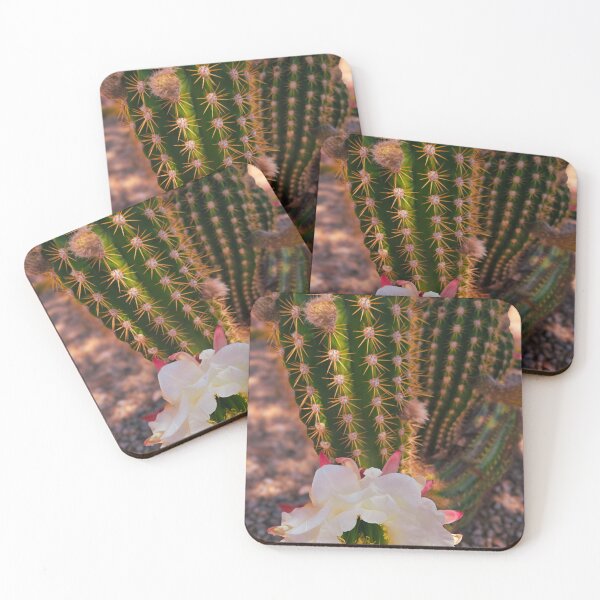 Item preview, Cactus Pop! designed and sold by Margaret McNally.