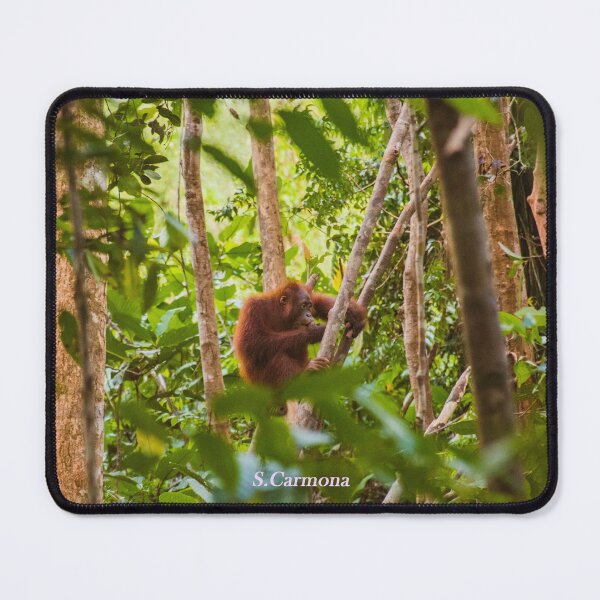 Item preview, Wild Orangutan in Borneo Rainforest Nature Art designed and sold by AuraInkSC.
