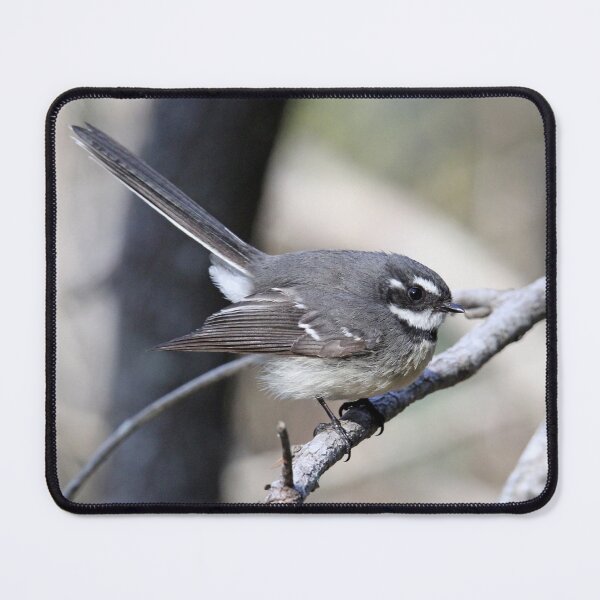 Item preview, Grey Fantail Perched On A Tree Branch designed and sold by 27Tammy27.