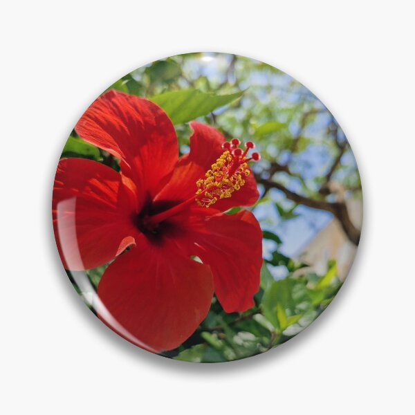 Item preview, spring bloom, Hibiscus designed and sold by Lunar-Dragon.
