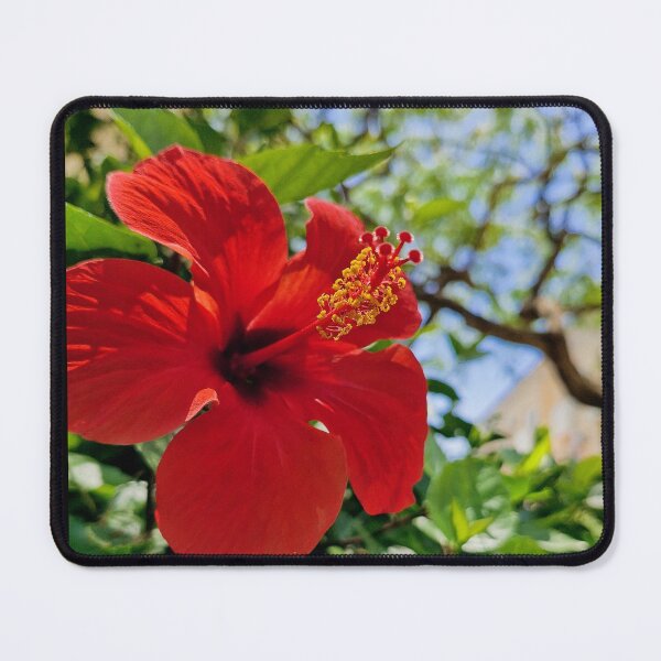 Item preview, spring bloom, Hibiscus designed and sold by Lunar-Dragon.