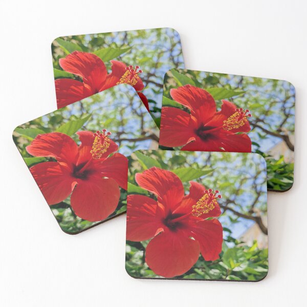 Item preview, spring bloom, Hibiscus designed and sold by Lunar-Dragon.