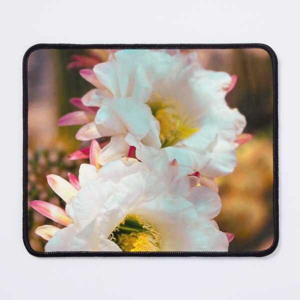 Item preview, Triple Cacti Blooms designed and sold by Margaret McNally.