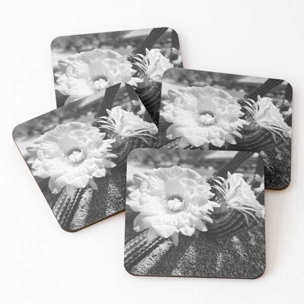 Item preview, Cacti Noir designed and sold by Margaret McNally.