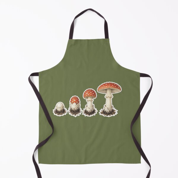 Artikelvorschau, Lebenszyklus des Fliegenpilzes (Amanita muscaria) – Wachstumsstadien (Botanischer Artikel) entworfen und verkauft von SimplePoDesign.