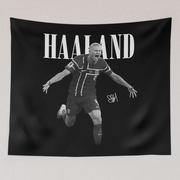 Item preview, Copy of Erling Haaland Norway Football, Haaland Norway designed and sold by RuizGomer.