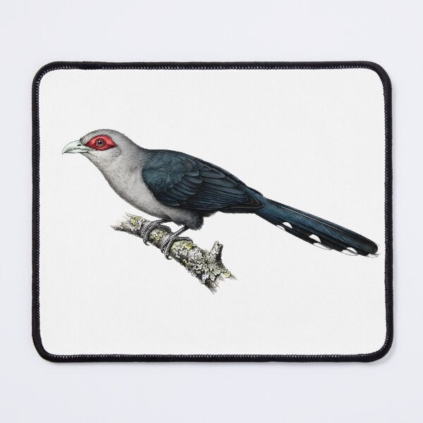 Item preview, Green-billed Malkoha designed and sold by wonderisland.