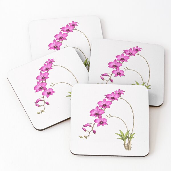 Item preview, Cooktown Orchid in bloom designed and sold by BlueBandedBee94.
