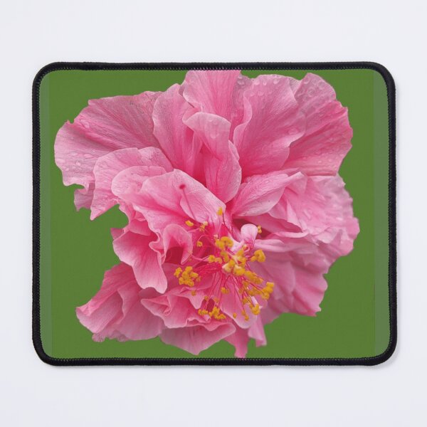 Item preview, Red Hibiscus Photograph designed and sold by Fayes4Art.