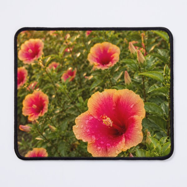 Item preview, Tropical Hibiscus Garden in Golden Light designed and sold by SheFriendly143.