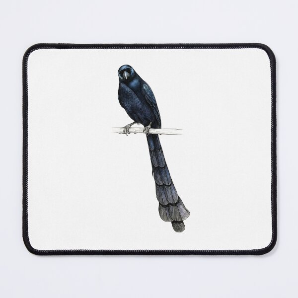 Item preview,  Racket-tailed Treepie designed and sold by wonderisland.