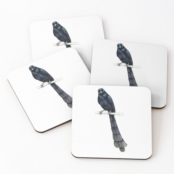 Item preview,  Racket-tailed Treepie designed and sold by wonderisland.