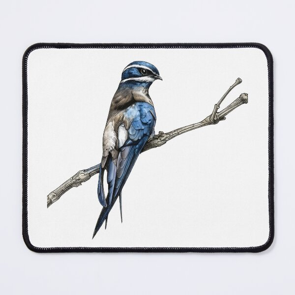 Item preview, Whiskered Treeswift designed and sold by wonderisland.