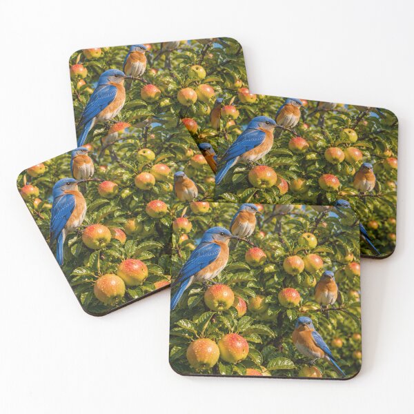Item preview, Birds and Fruits  designed and sold by AwesomeDigiShop.