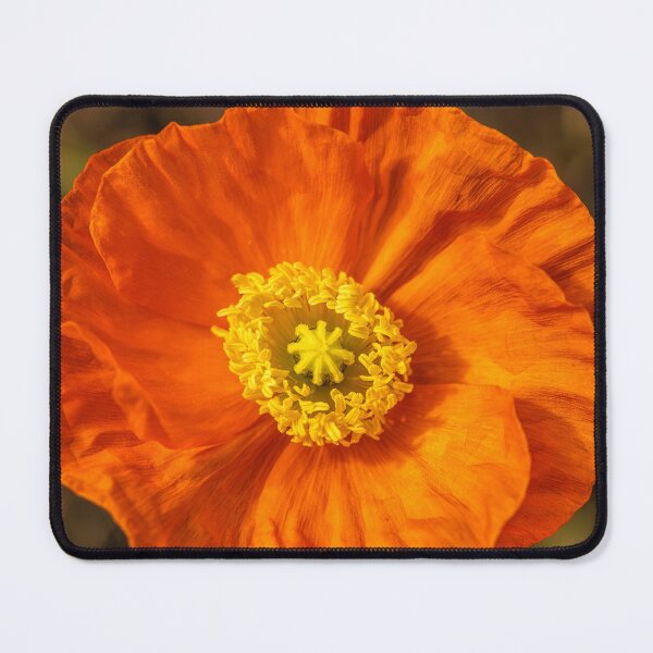 Item preview, Vibrant Orange Poppy Bloom designed and sold by Veikko  Suikkanen.