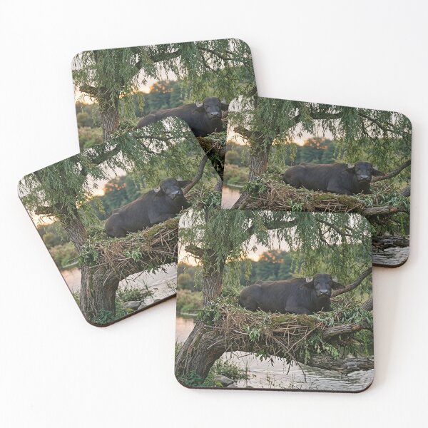 Item preview, A water buffalo has built a nest on a willow branch. designed and sold by TDZCOLLECTION.