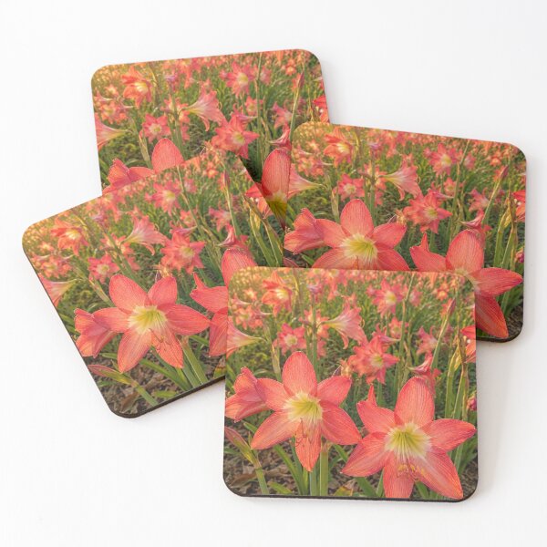 Item preview, Golden Hour Amaryllis in Bloom designed and sold by SheFriendly143.