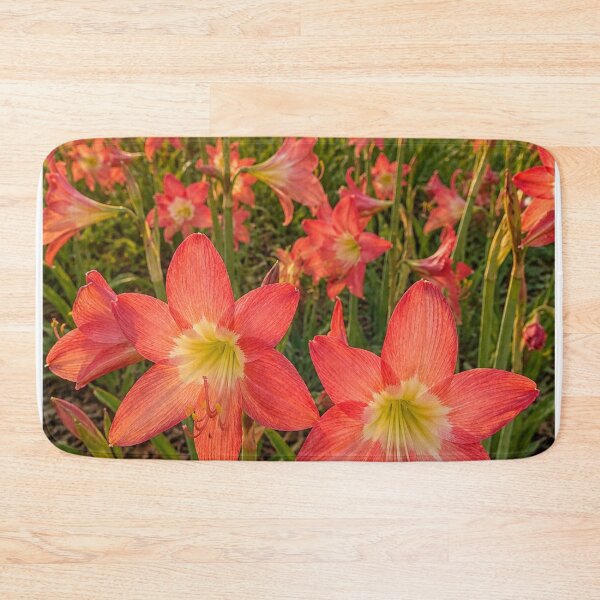 Item preview, Golden Hour Amaryllis in Bloom designed and sold by SheFriendly143.
