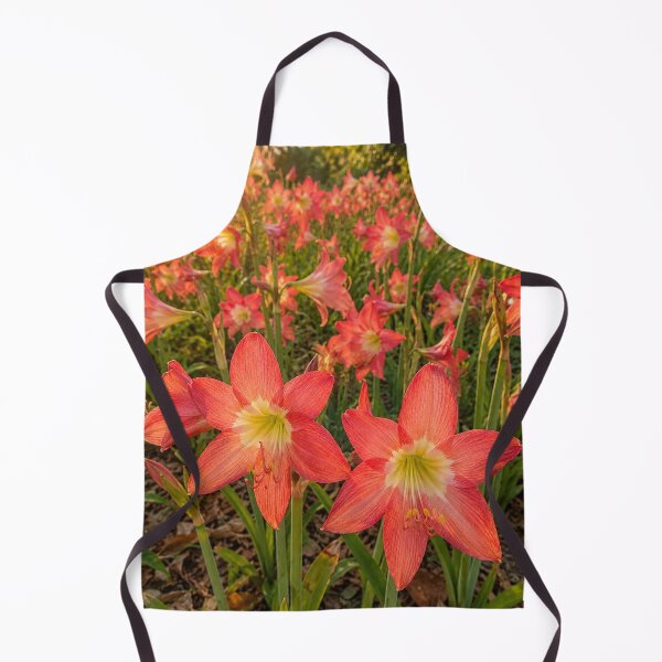 Artikelvorschau, Goldene Stunde Amaryllis in Blüte entworfen und verkauft von SheFriendly143.